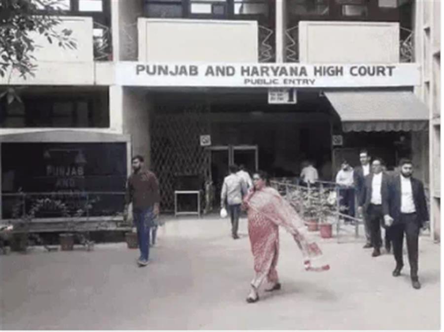 Punjab and Haryana High Court Directs Woman to Support Mother-in-Law After Receiving Job on Husband’s Death