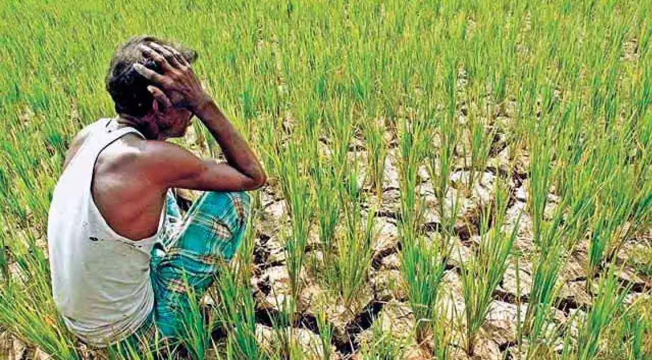 Punjab’s 38.37 Lakh Farmers Burdened with ₹1.04 Lakh Crore Debt, Reveals RBI Report